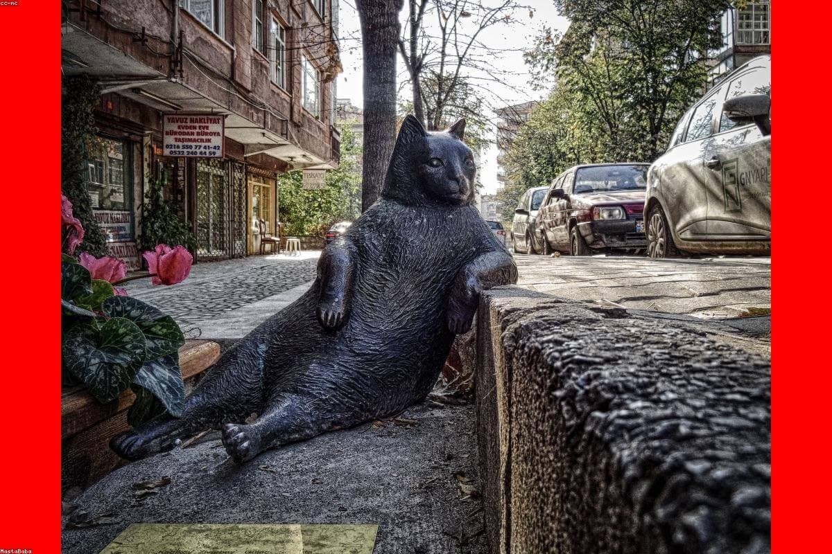 Matematika, kimyo va geografiya fanlaridan milliy sertifikat natijalari e’lon qilindi