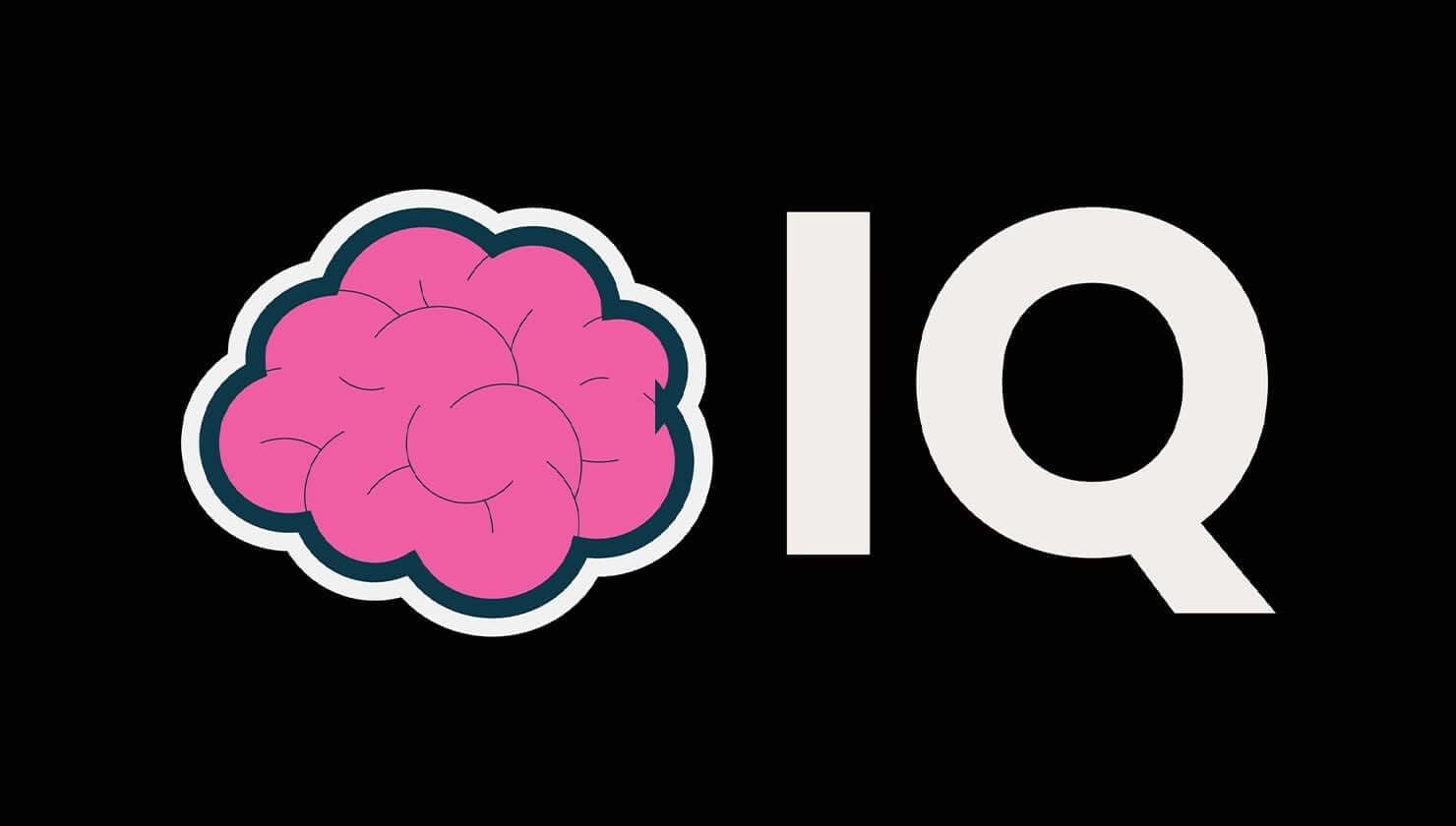 TDYUning ayrim yo‘nalishlariga kirish uchun IQ test topshiriladi