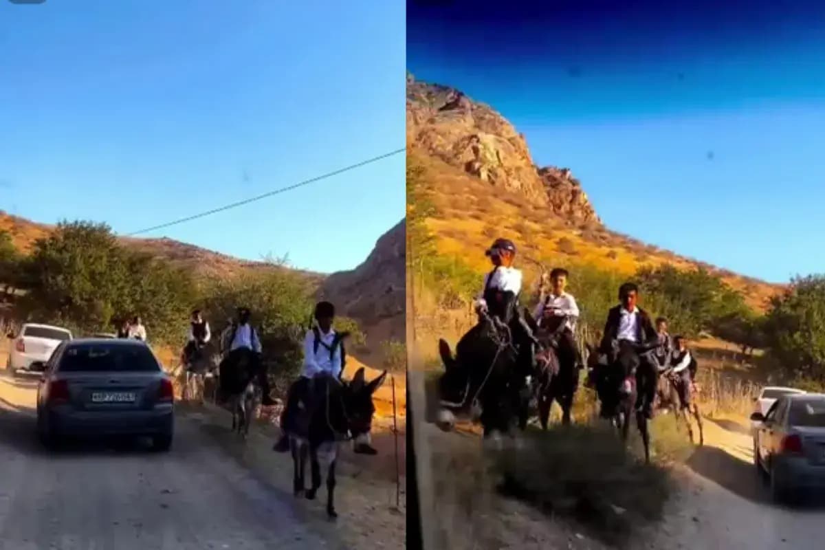 Kattaqo’rg’onda eshakda qatnaydigan o’quvchilar maktabi tog’da joylashgan
