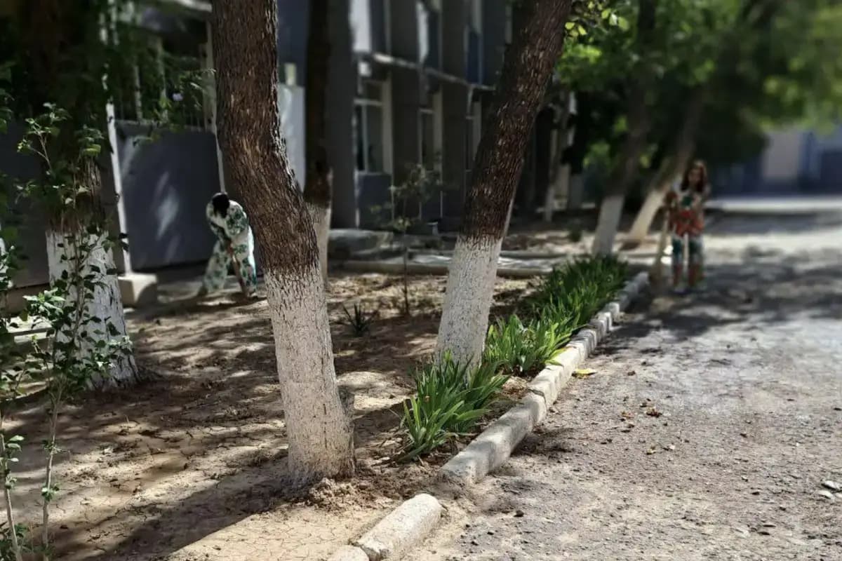 Maktab direktorlarini ta’mirlashga majburlagan mansabdor jarimaga tortildi