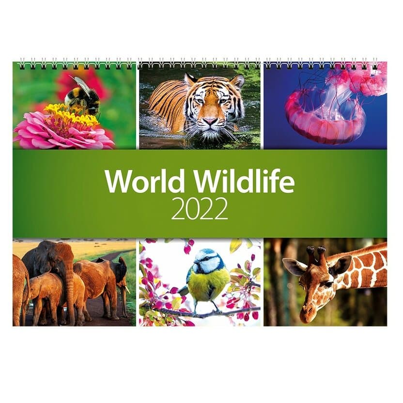 World Wildlife 2022: Xalqaro loyihada volontiyor bo’ling