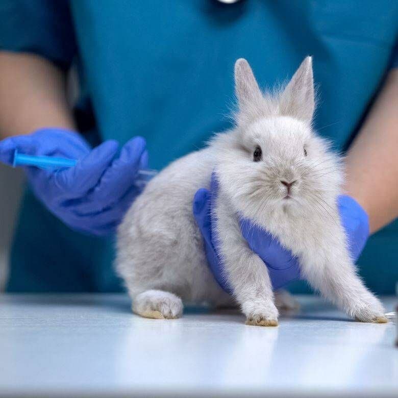 O‘zbekiston taʼlim tizimi: islohotmi yoki tajriba maydoni?