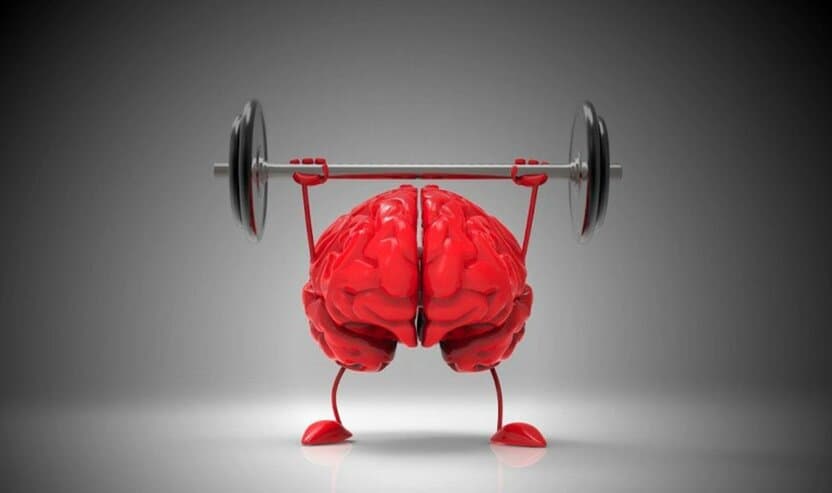 Sog‘lom miya va kuchli xotira: 4 ta samarali usul