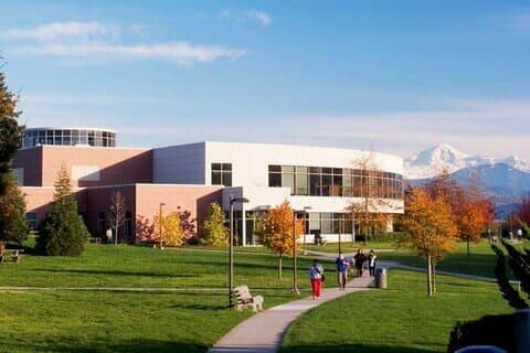 Xususiy oliygoh lisenziyasini tekshirish: 4 ta ishonchli usul