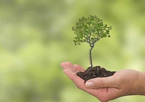 Ekologiya sohasida doktorantura kvotalari 30 foizga oshirildi