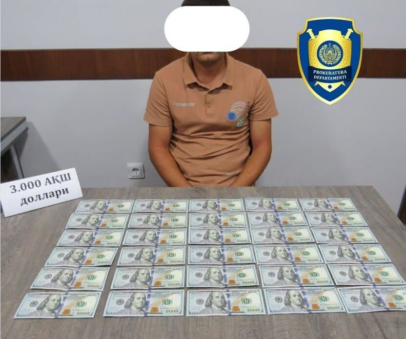 IELTS va CEFR sertifikati va’dasi bilan firibgarlik fosh etildi