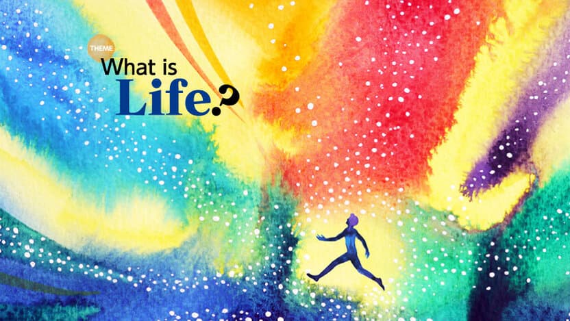 Yaponiya insholar tanlovi: Yoshlar uchun 2250$ sovrin jamg’armasi