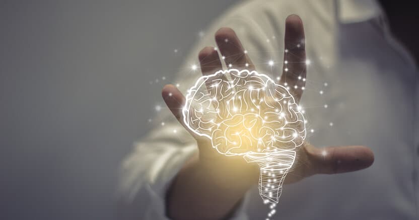 Psixologiya yo’nalishida qabul kvotalari 30 foizga oshiriladi