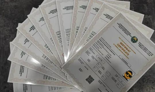 Xorijiy til o‘qituvchilari uchun B2 sertifikati talabi