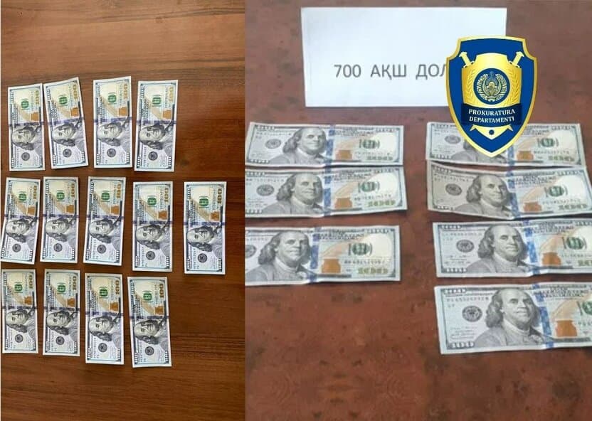 O‘qishga kiritish va ko‘chirish bilan bog‘liq firibgarliklar