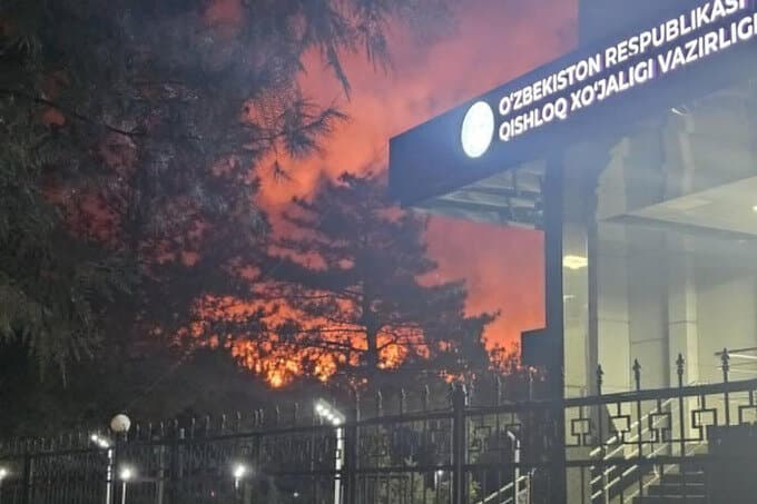 Toshkent davlat agrar universitetida yong‘in: Tergov boshlandi