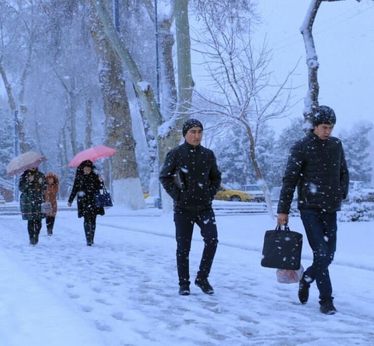 Qishki ta’til va yotoqxona: Vazirlik talabalar uchun muhim ko’rsatma berdi
