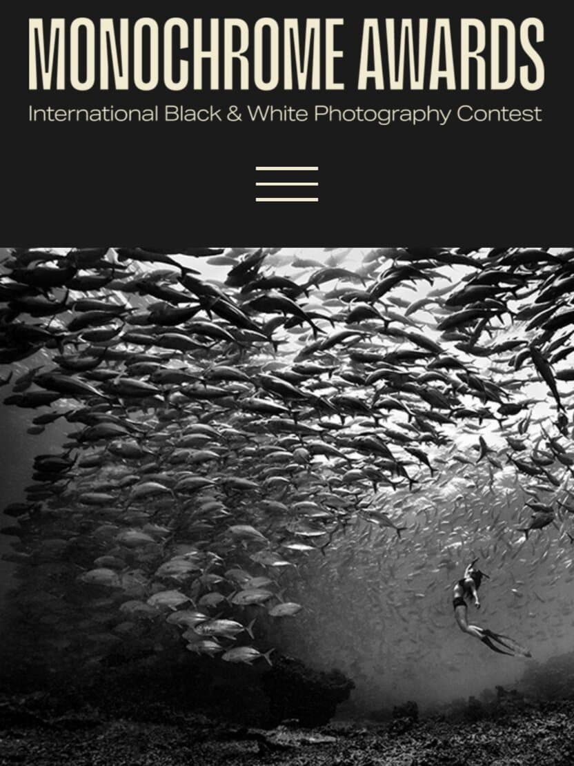 Monochrome Photography Awards: Fotograflar uchun tanlov