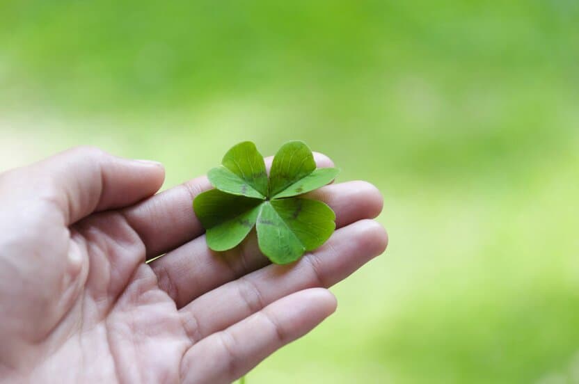 Omadli bo‘lishning 10 ta qoidasi: Hayotda muvaffaqiyat