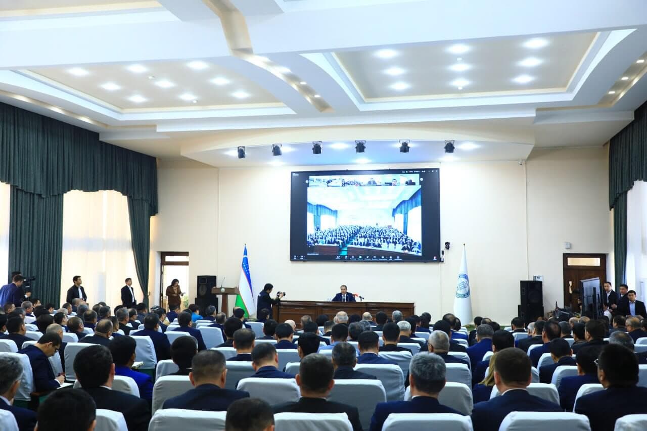 Oliy ta’limning yangi nizomi tasdiqlandi: Asosiy o‘zgarishlar