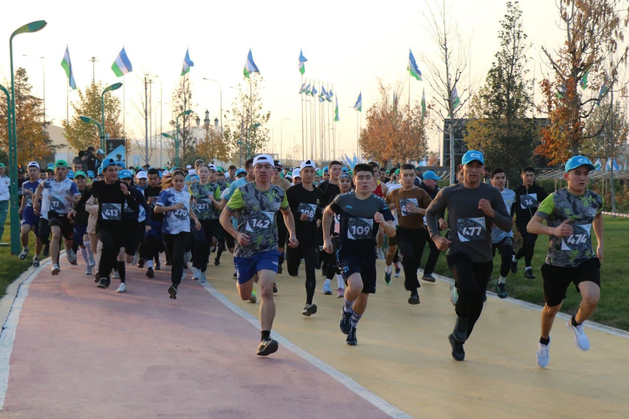 San’at, sport va maxsus pedagogika yo’nalishlari uchun sohaviy kvotalar tasdiqlandi