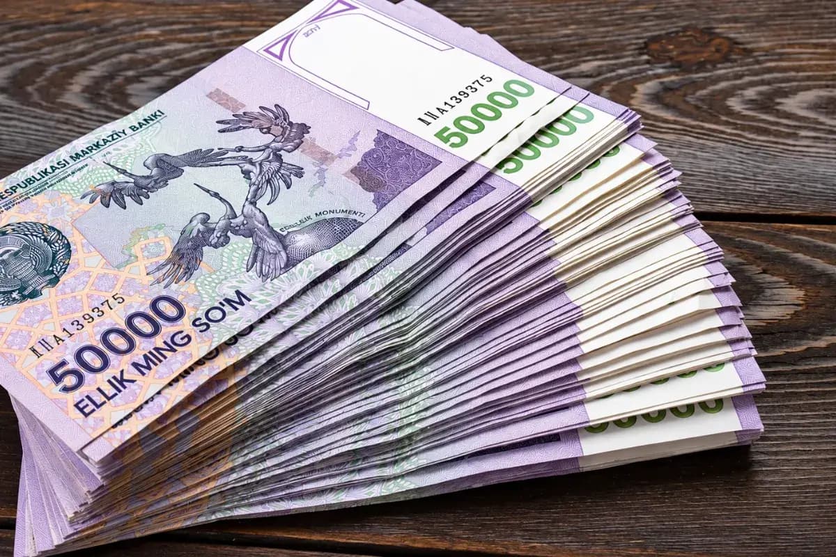 Namanganda soxta bog‘chalardan 1,3 mlrd so‘m subsidiya o‘zlashtirildi