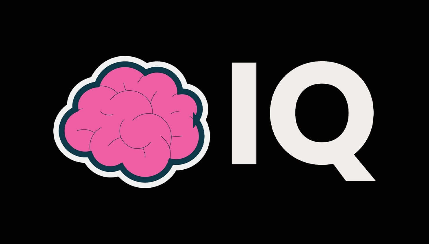 TDYUning ayrim yo‘nalishlariga kirish uchun IQ test topshiriladi