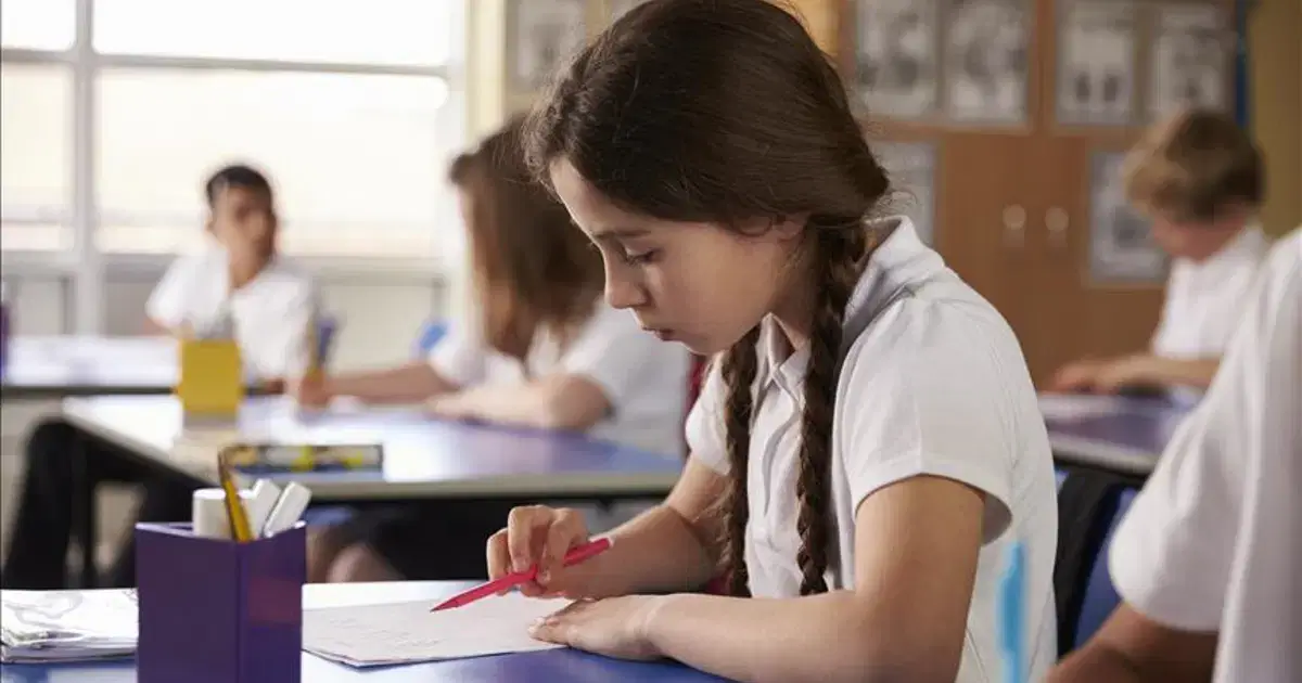 O’zbekiston PISA 2025da 83 ballga o’sib, 48-o’ringa ko’tarildi
